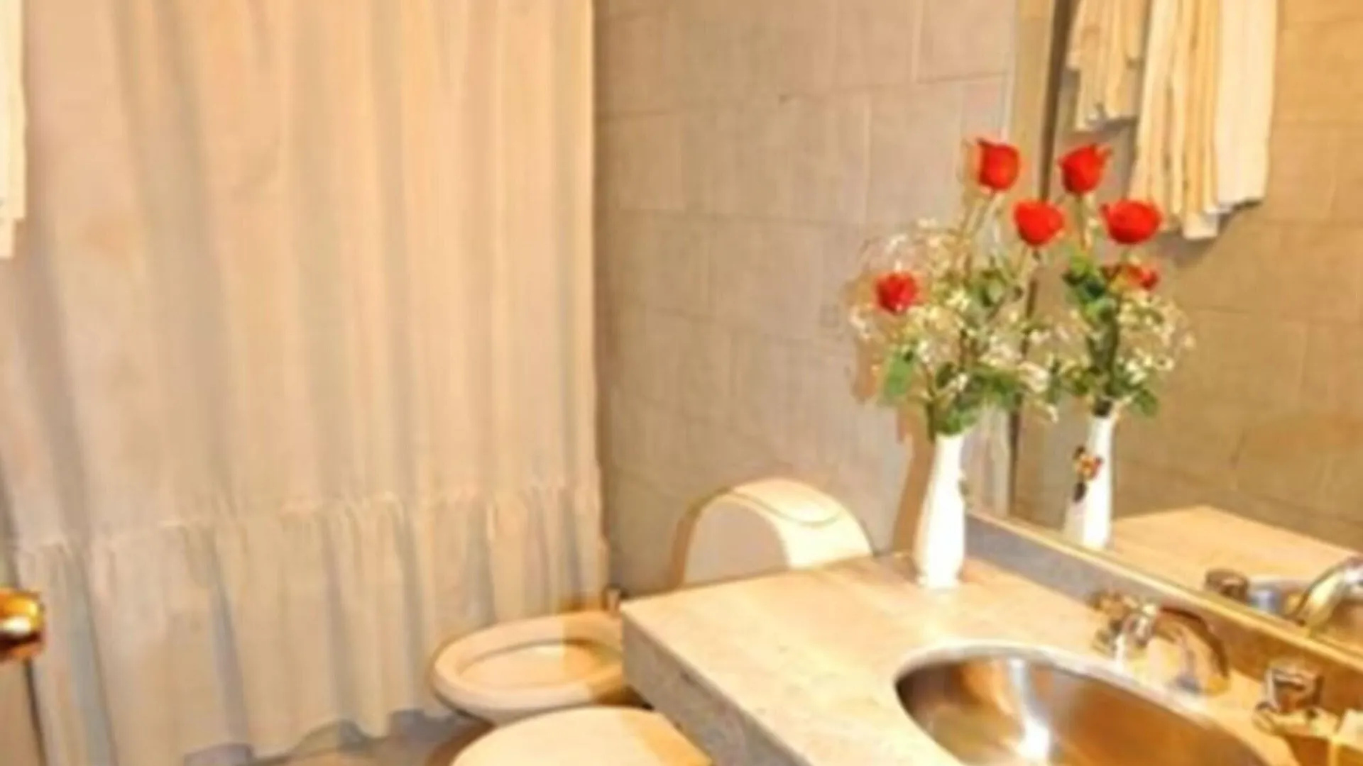 Hotel Carollo Mendoza 3*,